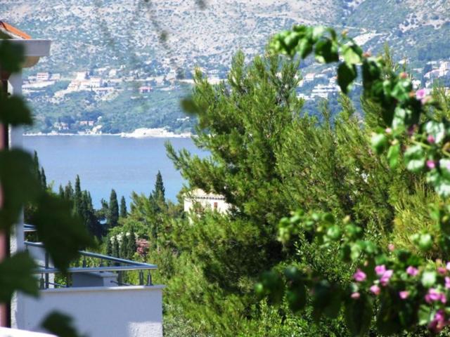 Villa Kipre 2 Cavtat Extérieur photo